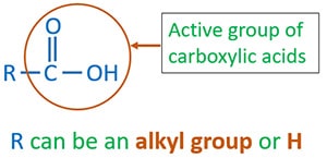 Active group of carboxylic acids